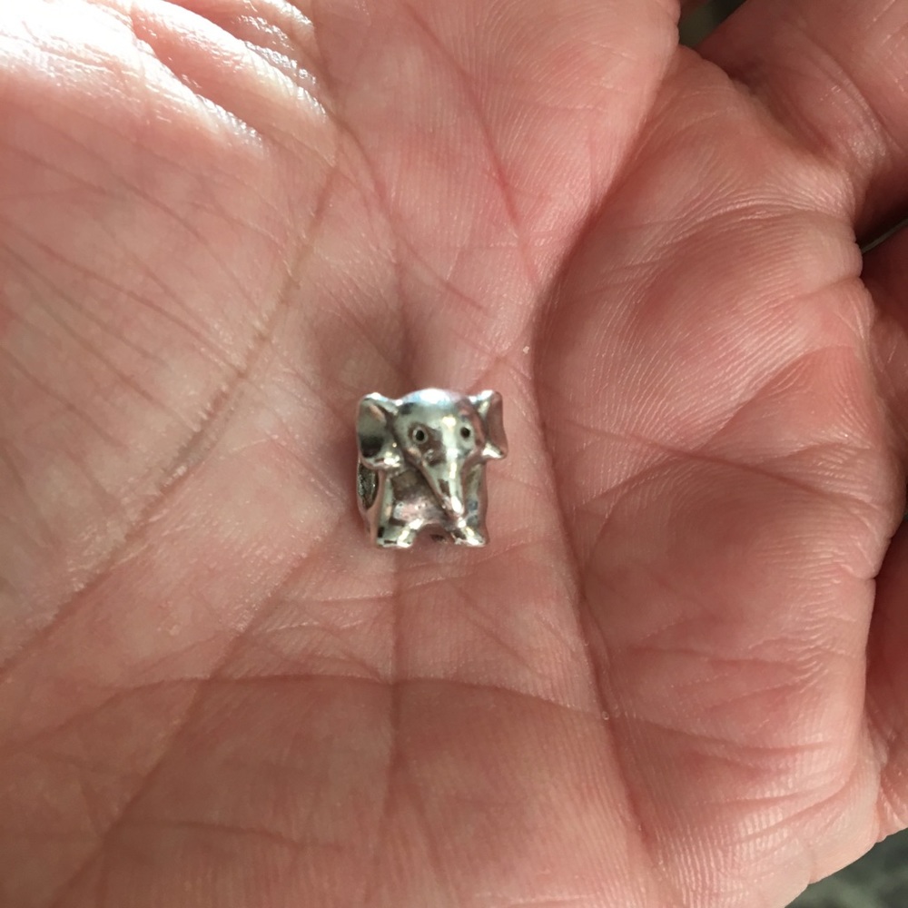 Pandora charms